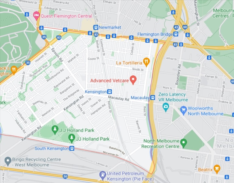 Kensington Map Area